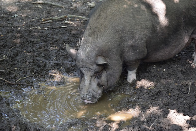 她的一丝不 她的一丝不