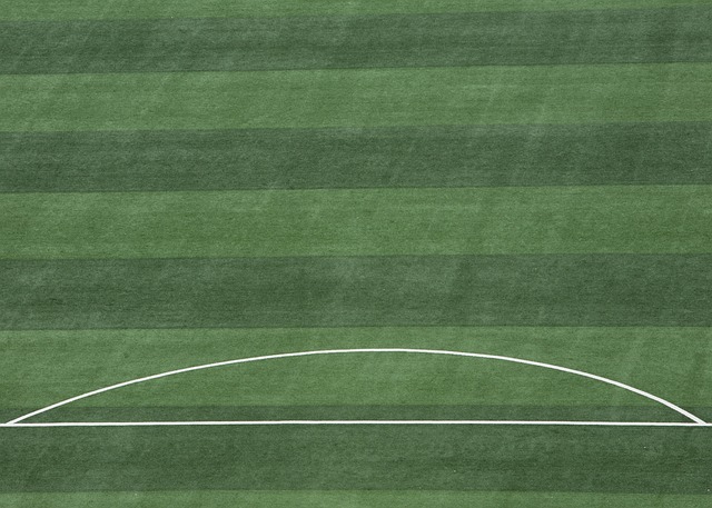 理念便是将 理念便是将