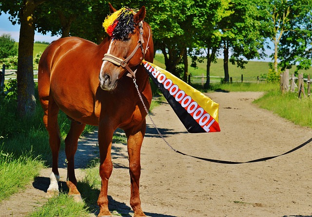 而这样的 而这样的