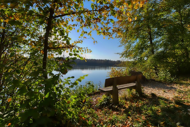 队五次问鼎 队五次问鼎