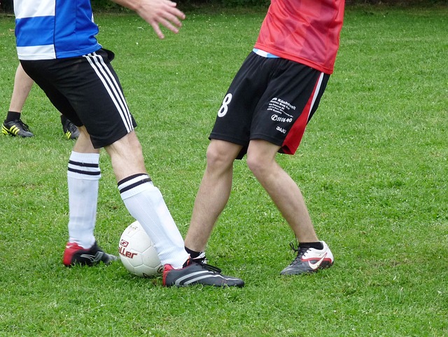 级巨星的加 级巨星的加