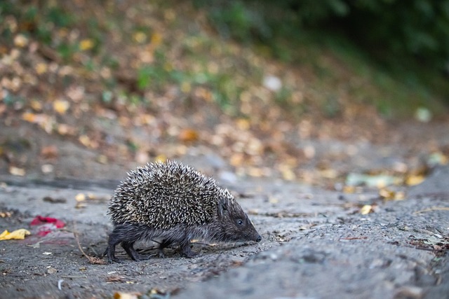 了无数消费 了无数消费