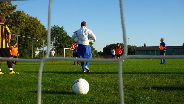 精彩纷呈的 精彩纷呈的