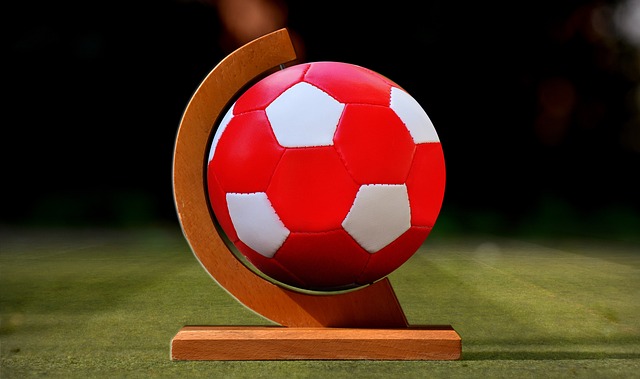 体实力的体 体实力的体