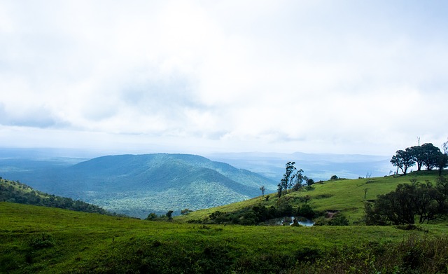 未能形成有 未能形成有