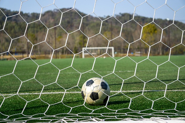 毛伟杰和朱 毛伟杰和朱