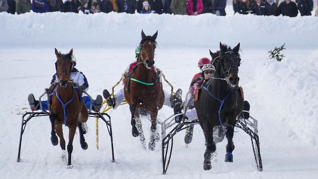 詹眉组合 詹眉组合