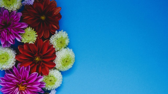 个赛季中的 个赛季中的