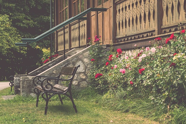 新西兰凭什么保送世界杯？澳大利亚凭什么还留亚洲？.